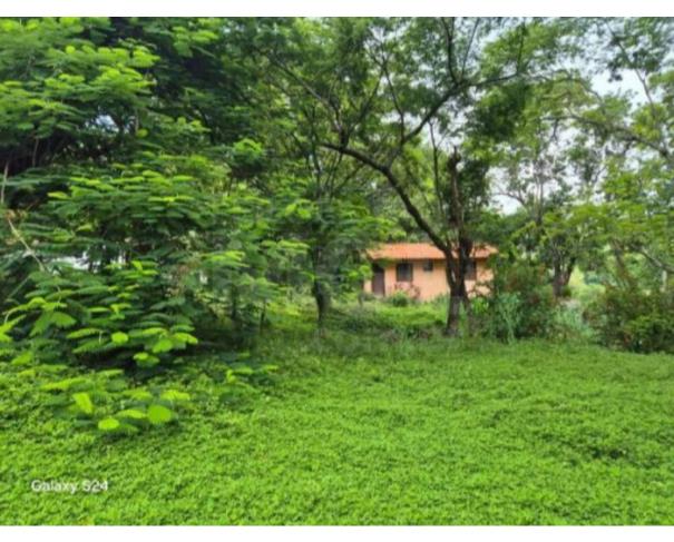 Foto de LEOPOLDINA/MG — Fazenda com 46.15.70 hectares na Fazenda São Sebastião